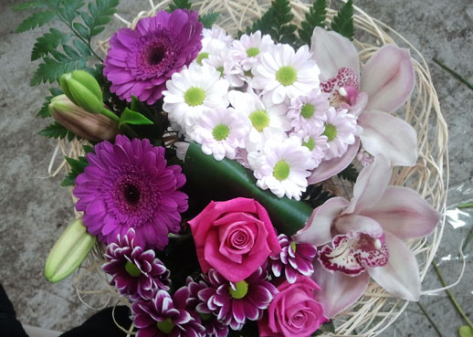 flores-nuevas-noticia